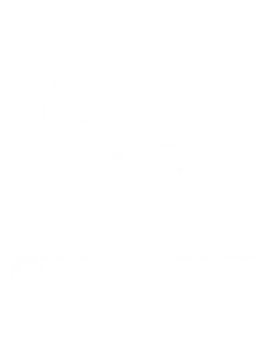 champions